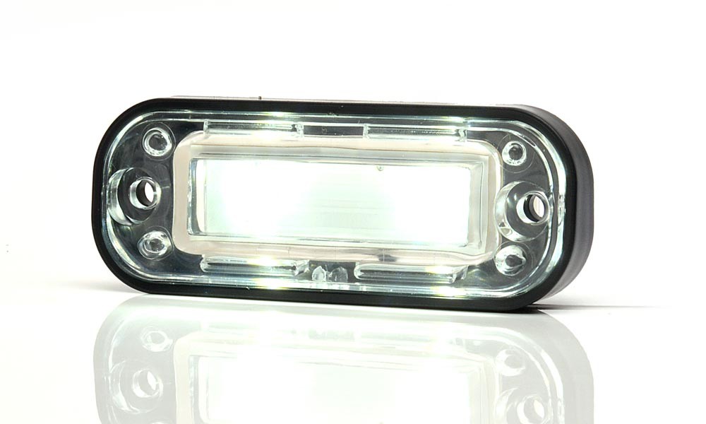 Licence plate light